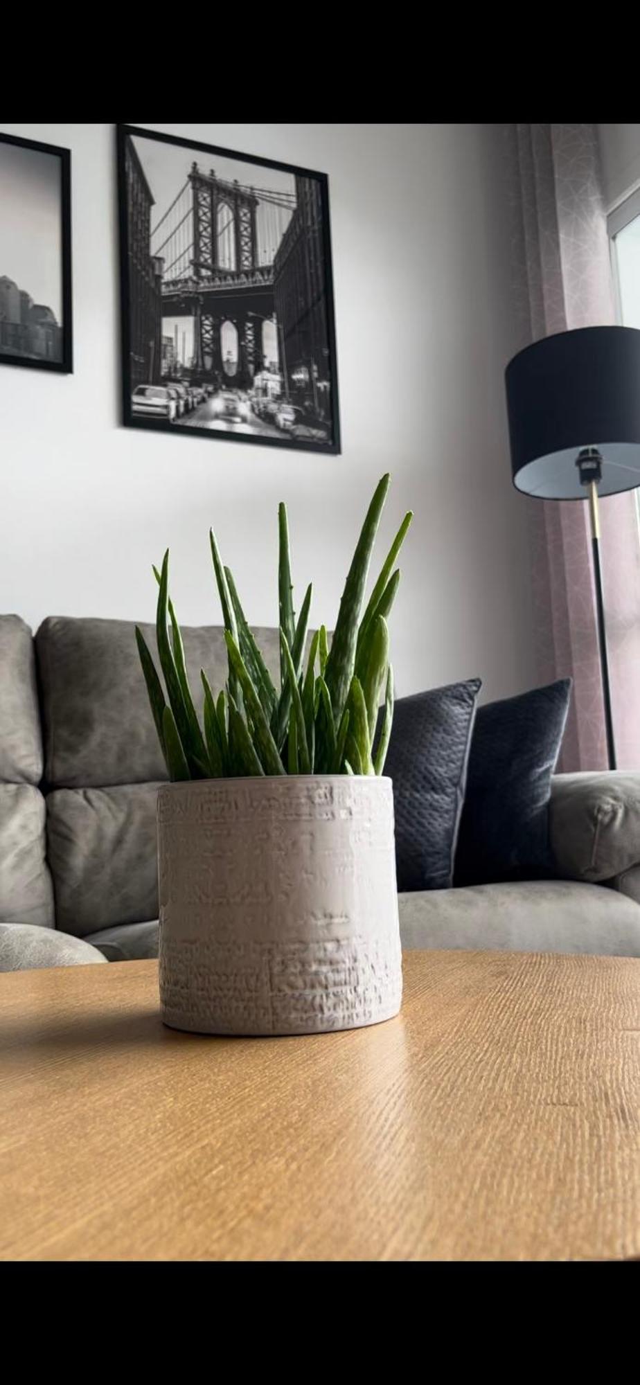 Apartment Summer Vibes Miraflores - La Cala De Mijas Ngoại thất bức ảnh